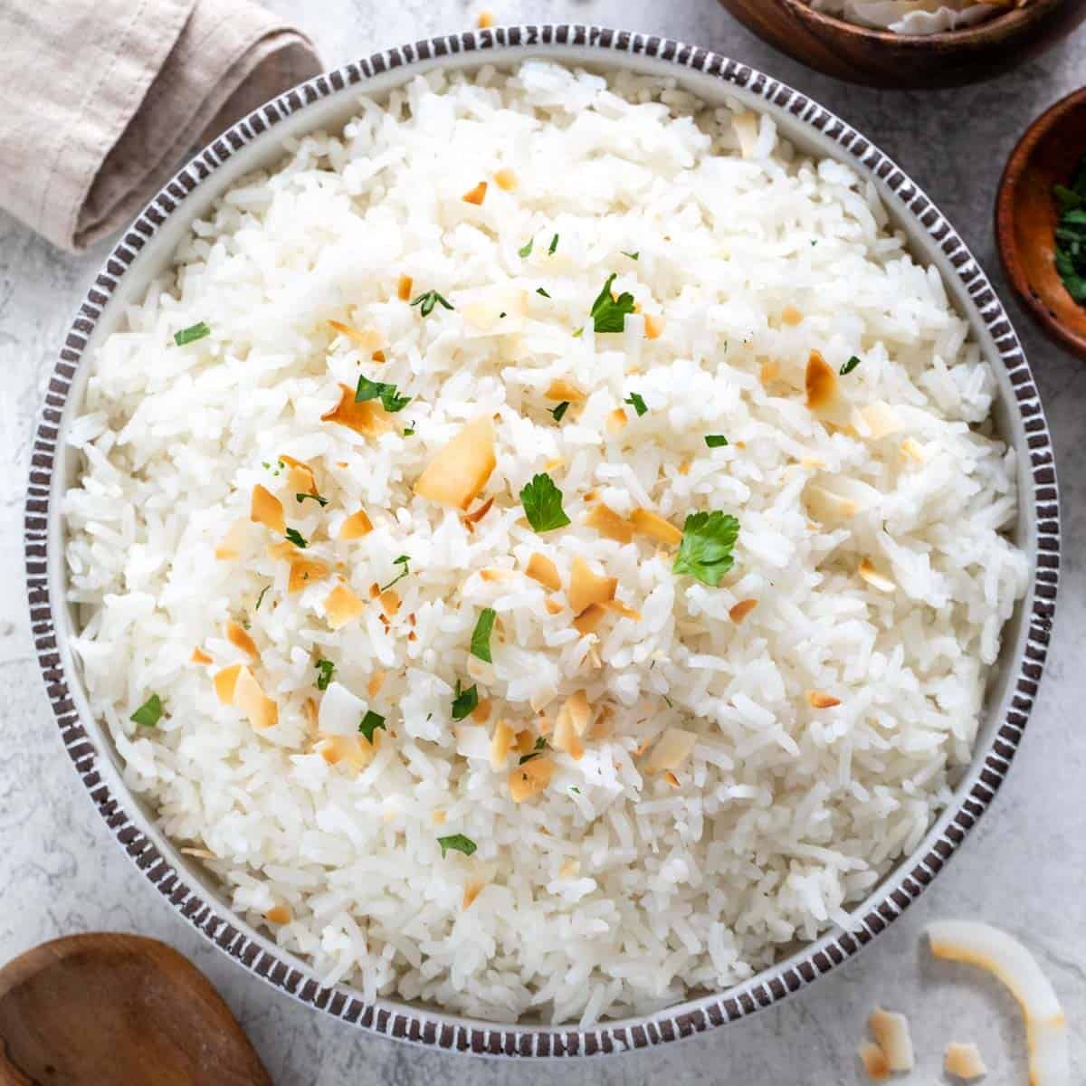 indian-Courtyard authentic indian restaurant-coconut-rice